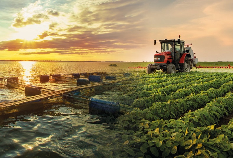 AGROINDUSTRIA